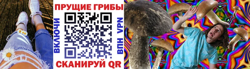 где найти наркотики  Салехард  Псилоцибиновые грибы Psilocybine cubensis 